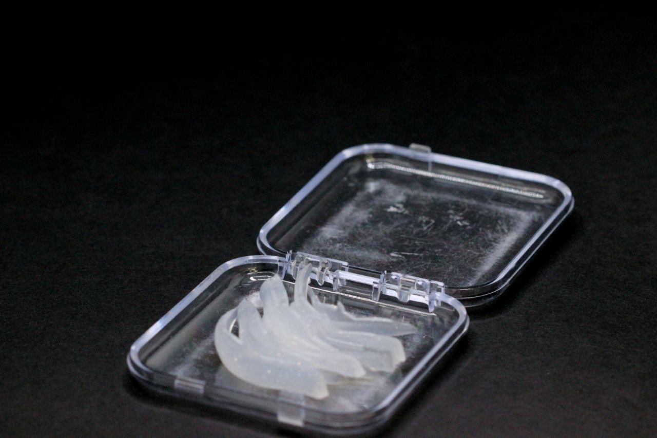 بیگودی گاوی شاخ دار (5جفتی)